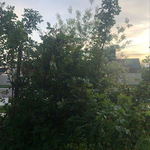 Meet your Posher, Ragini